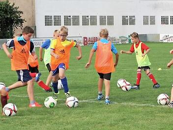 Bei der Ballbehandlung zeigen die Kids was sie schon alles draufhaben. Foto: Heinz Marr