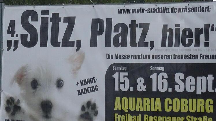 Hundebadetage in CoburgWolfgang Desombre
