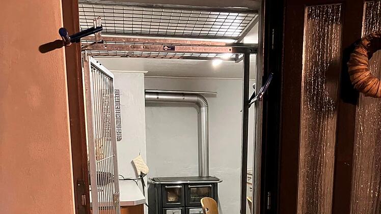Zapfendorf: Entlaufener Hund Christo nach rund vier Monaten entdeckt - "Happy End"