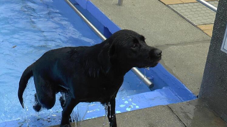 Uaahhh... und jetzt gleich mal sch&uuml;tttttellllnnnn....