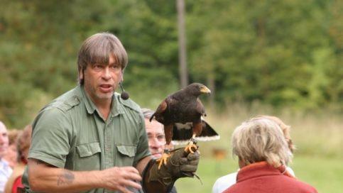 Eigentümer Anton Kratky während einer Flugvorführung in der Falknerei Rabenstein.Foto: Falknerei Burg Rabenstein