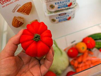 Falsch einsortiert: Tomaten sollten nicht im Kühlschrank gelagert werden, auch wenn sie zu den Gemüsesorten zählen.