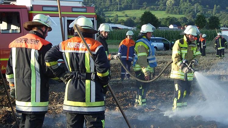 Bei Pretzfeld hatten die Feuerwehren im August 2010 einen Flächenbrand zu löschen.  Foto: smü/Archiv