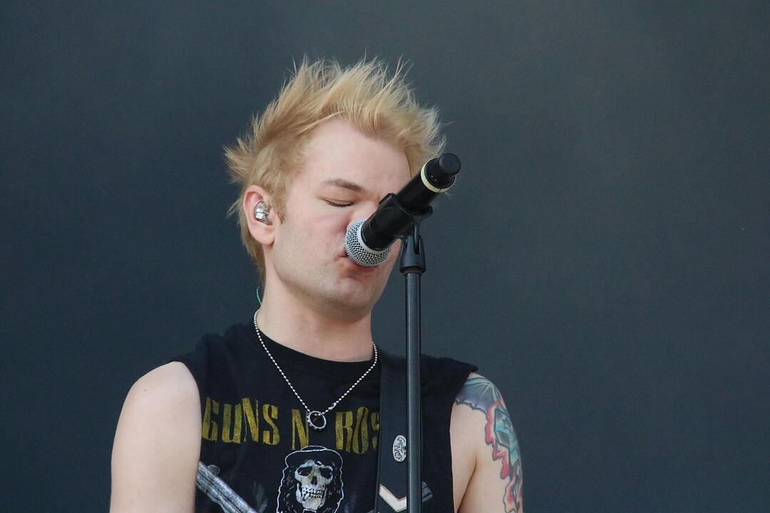 Rock im Park 2017: Sum 41