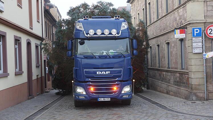 Der Baum passt gerade so durch die Weihertorstraße. Foto: Arkadius Guzy