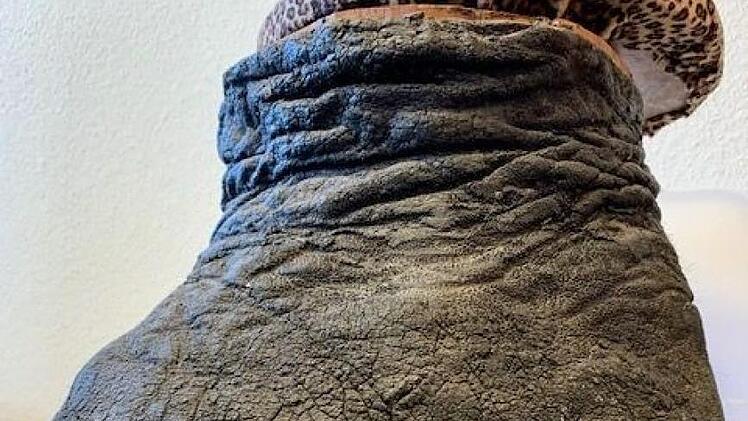 Diesen zu einem Hocker verarbeiteten Elefantenfu&szlig; entdeckten Zollfahnder in Bergisch-Gladbach. Foto: Polizei