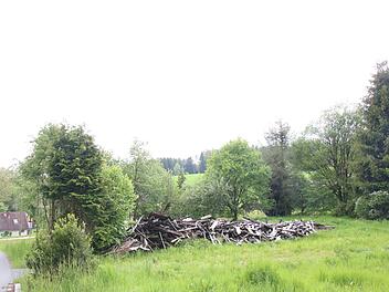 Verkohlte Reste des Dachstuhls erinnern an den Brand des ehemaligen Hauses der Gräfin von Luxburg. Seither erobert sich die Natur das Grundstück in Ziegenburg zurück. J. Nützel