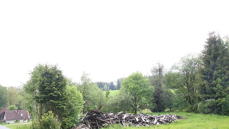 Verkohlte Reste des Dachstuhls erinnern an den Brand des ehemaligen Hauses der Gräfin von Luxburg. Seither erobert sich die Natur das Grundstück in Ziegenburg zurück. J. Nützel