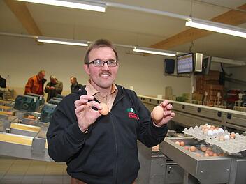 Die neue Eiersortiermaschine ist der ganze Stolz von Hans-Peter Kolb: Die Eier laufen vom Stall aufs Band oder werden in Paletten angeliefert, dann aufgelegt und von de Eiersortieranlage automatisch abgewogen, nach Gewicht, Klasse und Farbe sortiert und in die entsprechenden Kartons verpackt.  Foto: Sonja Adam