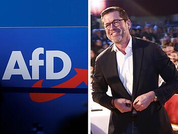 Guttenberg gibt AfD-Prognose ab