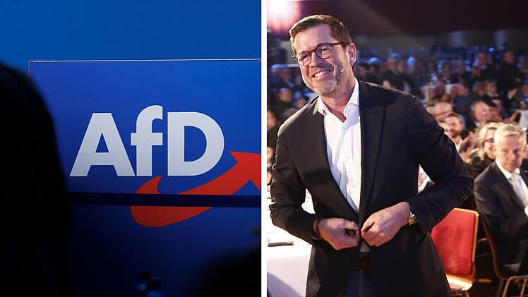 Guttenberg gibt AfD-Prognose ab