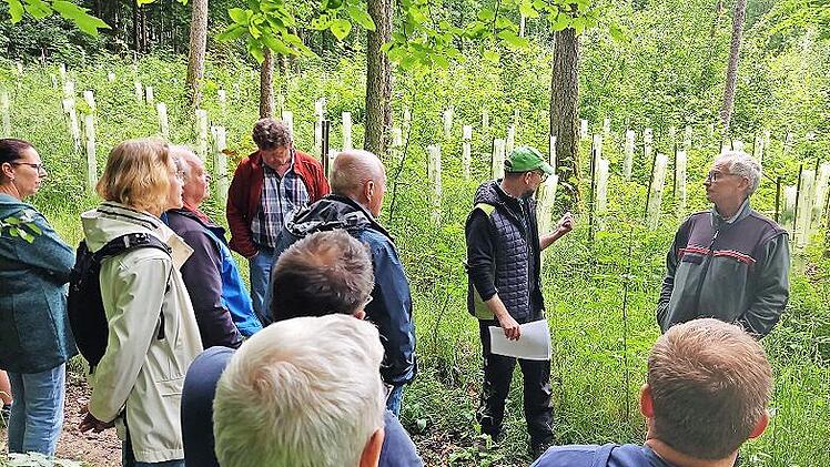 Matthias Koch (WBV Kreuzberg) und Revierleiter Matthias Jessen informieren über den Schutz junger Aufforstungen vor Wildverbiss bei der Waldbegehung in Schirnaidel.