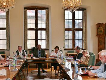 Die Mitglieder des Seniorenbeirats bei der Plenumssitzung im Sitzungssaal des Rathauses.  Foto: Werner Vogel