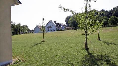 Die Baufläche in Buckenreuth ist bislang im Flächennutzungsplan als Streuobstwiese eingetragen. Die Folge: Bauen verboten. Foto: Josef Hofbauer