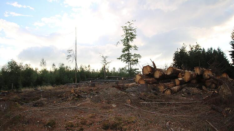 Die Käferplage hat längst die Höhen des Frankenwaldes erreicht. Wo die Bäume befallen sind, müssen sie entfernt werden. Zurück bleiben immer mehr Kahlschläge wie hier oberhalb von Rugendorf. Foto: Christian Schuberth