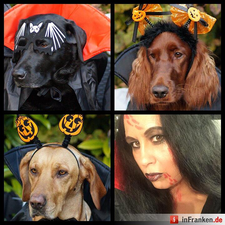 Hallowen in Franken und der Welt