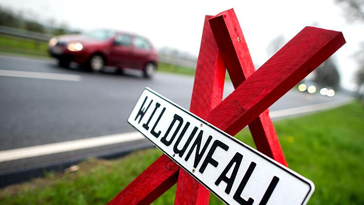 Wildunfall