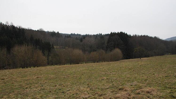 Auf dieser Wiese in Wernarz soll ein Baugebiet erschlossen werden. Foto: Ulrike Müller