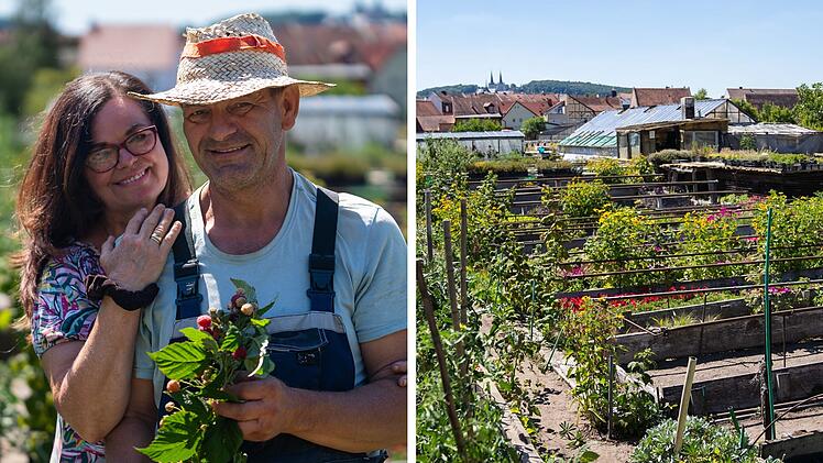 SplitImage 1708336619