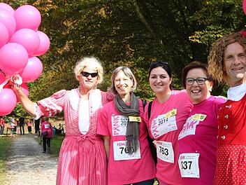 Pinklauf 2014: Bezirkstagsabgeordnete Karin Renner (zweite v. rechts) mit Besuchern aus dem französischen Partner-Departement. Foto: Ulrike Müller