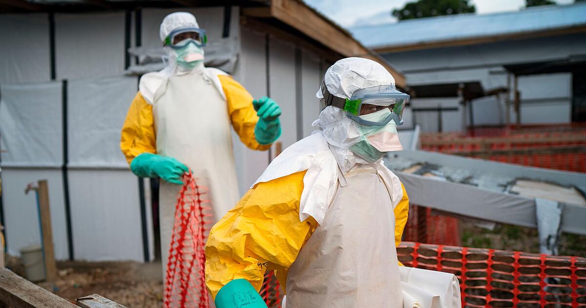 Tödliches Virus: Darum kommt ein Ebola-Patient jetzt nach Deutschland