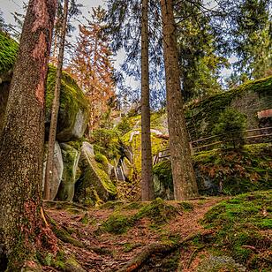 Urlaub in Franken: Fichtelgebirge im Sommer