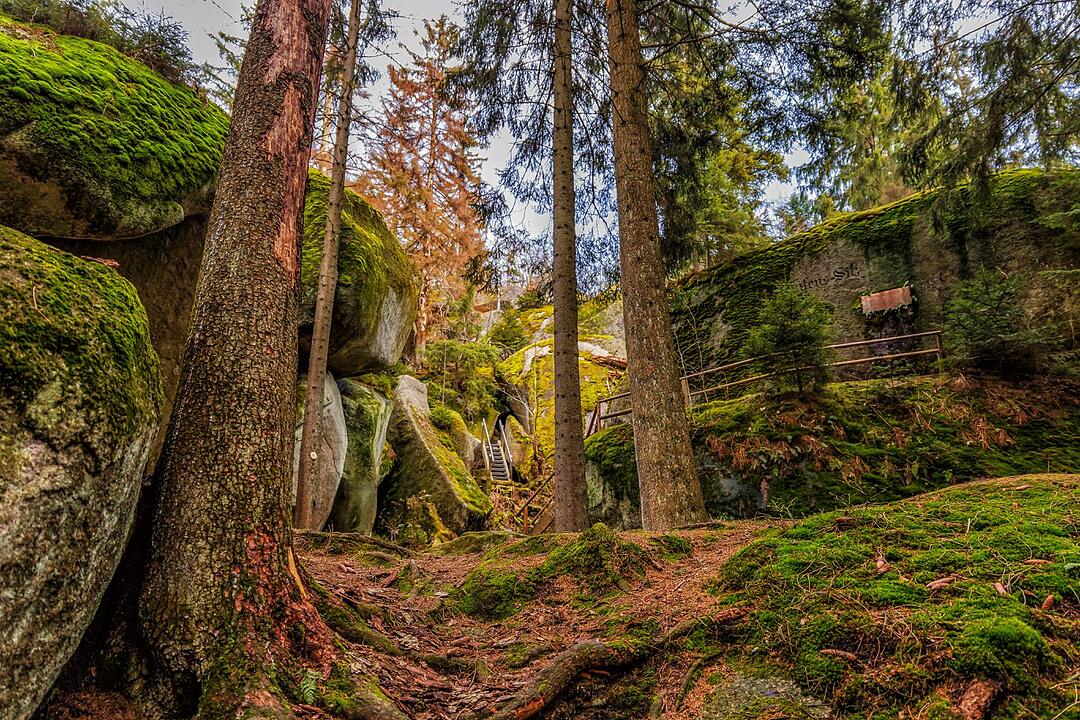 Urlaub in Franken: Fichtelgebirge im Sommer