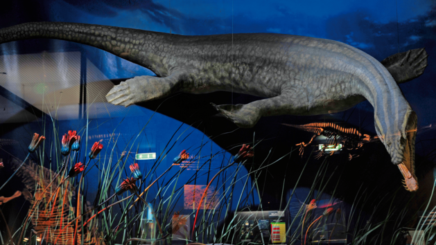 Im Urwelt-Museum Oberfranken gibt es viele lebensgro&szlig;e Modelle von Dinosauriern.