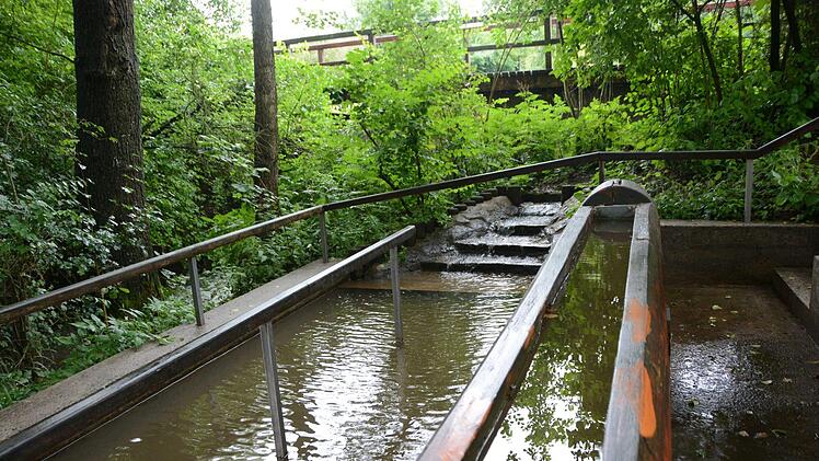 Impressionen vom Naturbadeweiher in Rugendorf  Foto: Dagmar Besand