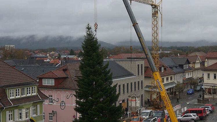 Auf dem Neustadter Marktplatz ist am Donnerstag der Weihnachtsbaum aufgestellt worden. Foto: Berthold Köhler