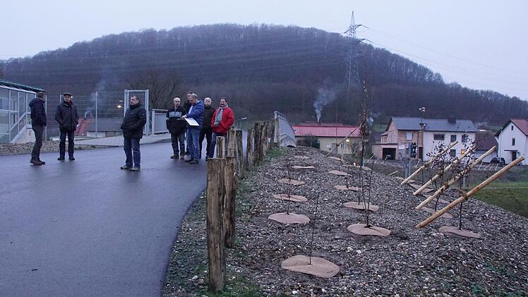 Mit der Beleuchtungssituation nach dem Neubau der Schleusenbrücke befasste sich der Bauausschuss in Limbach. Die auffällige Anbindeart der neugepflanzten Bäume (rechts im Bild) sorgte für launige Bemerkungen.Sabine Weinbeer
