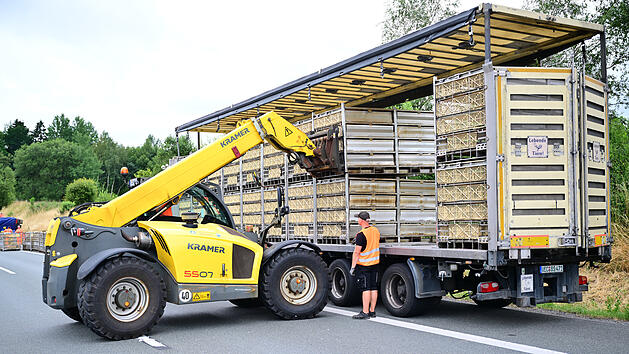 Lkw mit Masth&auml;hnchen kippt um