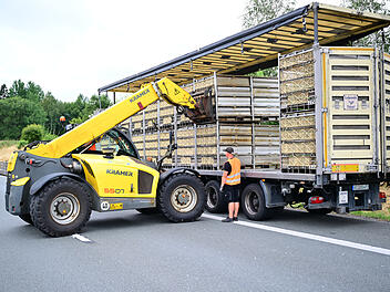 Lkw mit Masthähnchen kippt um