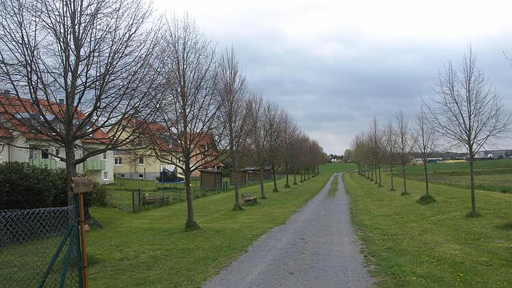 Als Ausgleichsfläche für das neue Baugebiet "Westlich der Ziegelei" in Ebenhausen kann die Gemeinde die Jubiläumsallee zwischen Oerlenbach und Eltingshausen einbringen.  Foto: Stefan Geiger