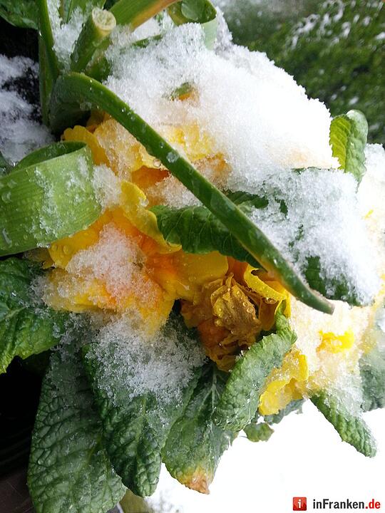 Franken: Ostermontag versinkt im Schnee
