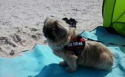Foto: Stephanie Gumbrecht