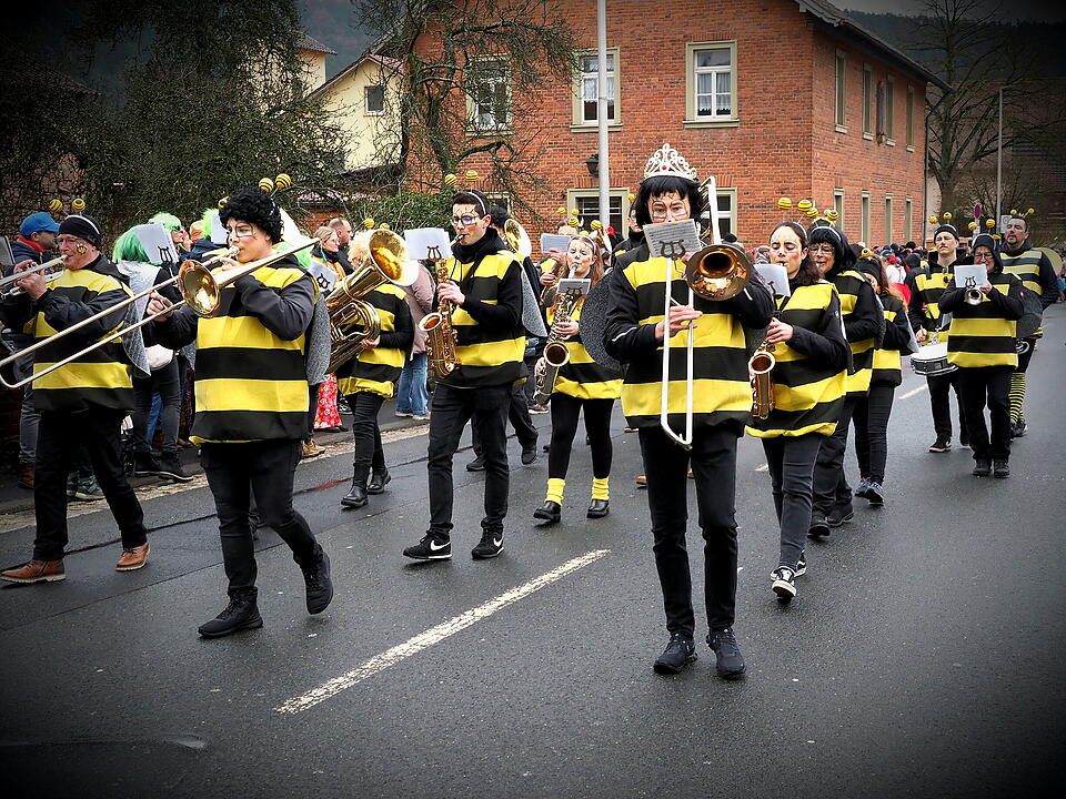 Fasching 2024 in Steinach