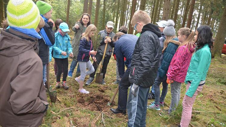 Die Schülerin Louisa Hofmann kann schon dem Bürgermeister erklären, wie man einen Baum richtig pflanzt. Beide pflanzen zusammen unter Aufsicht der Schüler und des Baumexperten Michael Weißerth eine Fichte. Foto: K.-H. Hofmann