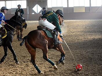 Einige Spieler kamen sogar aus Argentinien, um am Polo-Wettbewerb in Bammersdorf teilzunehmen.  Foto: herzopress