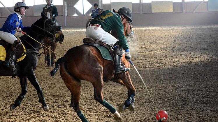Einige Spieler kamen sogar aus Argentinien, um am Polo-Wettbewerb in Bammersdorf teilzunehmen.  Foto: herzopress