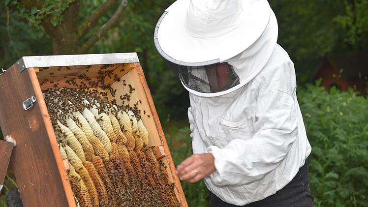In Schutzkleidung zeigt Imkermeisterin Manuela Müller, wie die Bienen ihre Waben bauen. Foto: Gabi Arnold