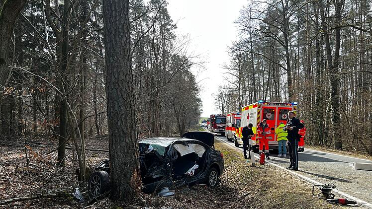 Auto prallt im Kreis Bamberg gegen Baum