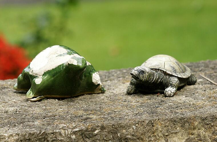 Ludwigschorgast: 46 Deko-Schildkröten aus Vorgarten geklaut - Polizei bittet um Hinweise