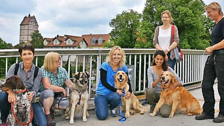 Zur praktischen Prüfung in Bad Neustadt gehörte auch das Gehen auf der schwankenden Falaiser Brücke. Unser Bild zeigt (von links) Ines Klör mit Lotte, Martina Sturm mit Rana, Inga Hoffmann mit Emma, Christine Maier-Fuersich mit Simba, Prüferin Sina Engel und Hundetrainer Andreas Pfister.  Foto: Hanns Friedrich