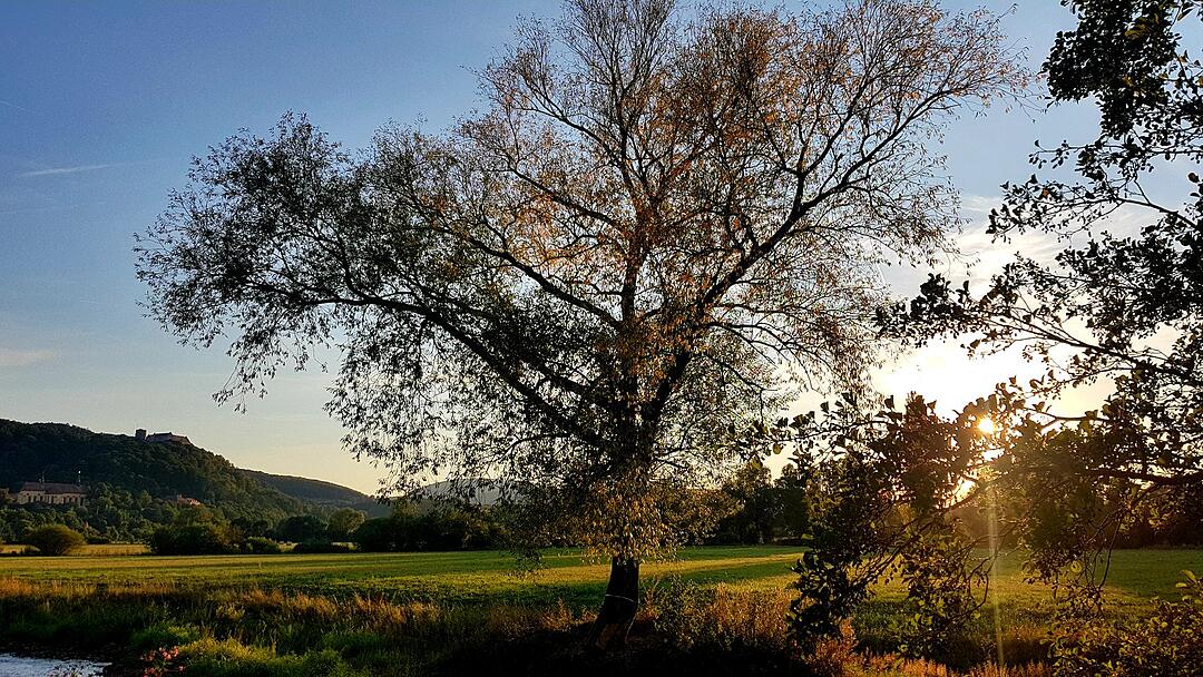 Die schönsten Fotos im August aus Bad Kissingen und Umgebung