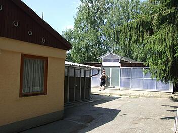 Das Tierheim in Haßfurt in früheren Tagen. Das Gelände kann nicht mehr genutzt werden. Im Landkreis Haßberge werden Örtlichkeiten für ein neues Tierheim dringend gesucht. Foto: Archiv