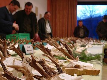 Bei der öffentlichen Hegeschau wurden nicht nur die im vergangenen Jagdjahr gesammelten Trophäen ausgestellt, sondern auch Informationen ausgetauscht.  Fotos: Stephanie Elm