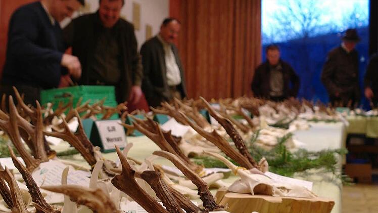 Bei der öffentlichen Hegeschau wurden nicht nur die im vergangenen Jagdjahr gesammelten Trophäen ausgestellt, sondern auch Informationen ausgetauscht.  Fotos: Stephanie Elm