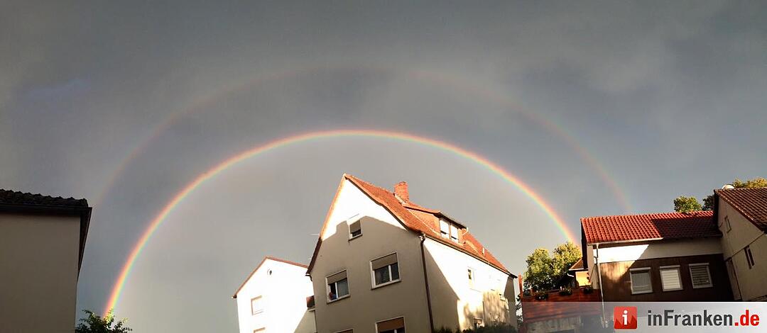 Foto: Julia Neuer