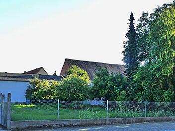Der Gemeinderat will im Rahmen des Projekts Grüngitter ein Grundstück neben dem Rathaus neu bepflanzen, Weg und Sitzgelegenheiten schaffen. Dafür soll für viel Geld Boden ausgetauscht werden. Deshalb vertagte der Rat die Entscheidung bis zu einem Termin vor Ort. ans-Peter Hepp